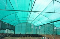 Filets en plastique tricotés vert herbe Fortune Agro avec service de découpe, fabriqués en Inde