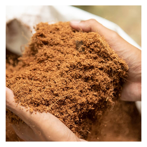 Bloc de tourbe de coco écologique en tourbe de coco biologique vietnamienne pour la plantation de briques de coco naturelles de haute qualité à bas prix - Product Image 1