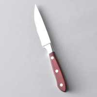 Ensemble de couteaux de coupe de viande de boeuf à steak en acier inoxydable forgé de qualité supérieure couteau de chef manche en plastique écologique caractéristiques tranchantes