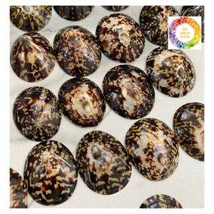 เปลือกหอยลิมเพ็ตระดับพรีเมี่ยมจากเวียดนามทำความสะอาดด้วยศิลปะเรซิ่นและโมเสค - Product Image 3