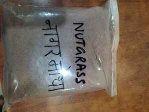 Poudre de soin capillaire biologique de qualité supérieure avec Amla, Moringa, Bayleaf et Brahmi pour cheveux abîmés - Force, brillance et santé du cuir chevelu - Product Image 5