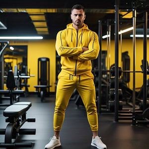 Chándal de alta calidad para hombre, pantalones de chándal con capucha y cremallera OEM, conjunto de dos piezas para hombre, chándal atlético de poliéster 100% para hombre - Product Image 2