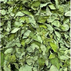 คาตาคุคุคุคุแบบมีใบหวานสำหรับชาสมุนไพรส่วนผสมจากเวียดนามแห้งผลิตจากโรงงาน - Product Image 4