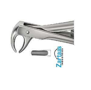 Fórceps de extracción de acero inoxidable de alta calidad Fig 106 exportadores y fabricante - Product Image 4