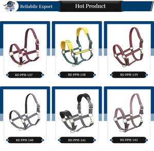 Cabestro de PP para Caballos de Alta Calidad - Colores y Logotipo Personalizables, Uso Ecuestre, Gran Venta - Product Image 3