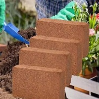 Tourbe de coco de qualité supérieure fabriquée au Vietnam, bloc de briquettes de 650 g pour le jardinage et l'agriculture, terre naturelle