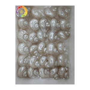 Venta caliente Turbo Pearl Shell artesanía verde pulido Seashell decoración náutico Animal estilo crudo técnica recuerdo - Product Image 2