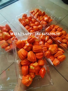 Venta al por mayor de alta calidad precio competitivo Frozen Jackfuit dulce natural vendido entero o pelado de Vietnam - Product Image 4