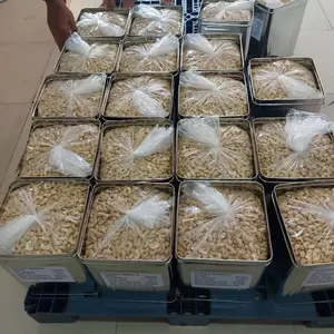 Noix de cajou au meilleur prix W320 W240, noyau ISO hackp FSI certifié - Product Image 2