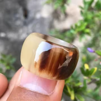 Corne de buffle rustique, organique, naturelle, écologique, provenant de sources éthiques, classique, tendance, authentique, distinctive, audacieuse, imperméable