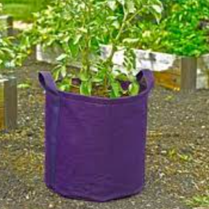 Sacs de culture - Product Image 1