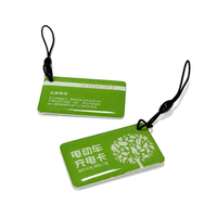 Carte RFID en époxy personnalisée, étanche, 13,56 MHz, MIFARE DESfire, pour la recharge de vélos électriques et de véhicules électriques