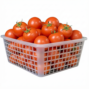 DX601 Durable and Practical <b>Food</b> Grade Mini <b>Tomato</b> Basket for Hamburger & Bread - Product Image 5