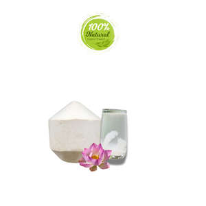 Vietnam Diamond Peeled Coconut Establece Presencia Global en Productos Agrícolas - Product Image 2