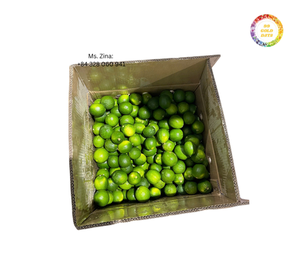 Citron vert sans pépins frais en vrac, exportateur vietnamien de citron vert sans pépins pour la transformation des boissons - Product Image 1