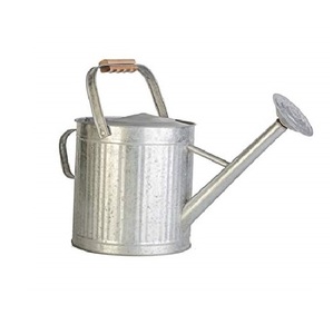 Arrosoir en métal galvanisé au design fantastique, couleur argent, style antique, pour la maison et le jardin, en gros - Product Image 1