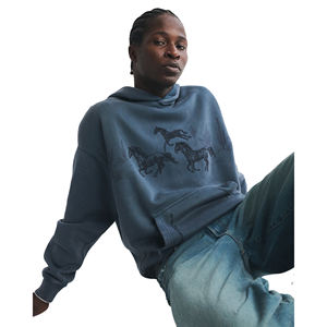 Sudadera con Capucha Personalizada de Alta Calidad, Unisex, de Color Sólido, Estampada, para Hombre, de Algodón Grueso para Invierno - Product Image 2