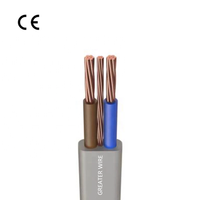 Câble de terre double fil de cuivre plat gaine d'isolation en PVC 6242Y 6243Y BVVB 1.5mm 2.5mm 4mm 6mm pour le câblage électrique de construction