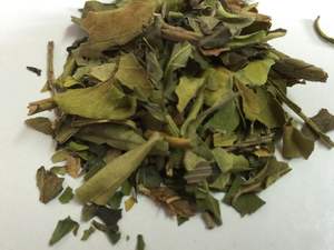 Calidad de exportación India Justicia Adhatoda Vasica Uso en el tratamiento del resfriado y la tos Aadathoda en polvo - Product Image 3