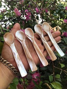 Seashell Spoons for Caviar Service, <b>Table</b> <b>Decor</b> and Culinary <b>Accessories</b> Supplied in Bulk - Product Image 4