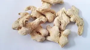 Air Dried Whole Ginger Blocks Wholesale Dried Ginger