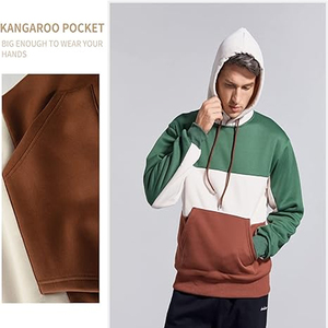 Sweat à capuche Streatwear régulier pour hommes avec coton épais et sweat à capuche imprimé bouffant à broderie personnalisée également disponible - Product Image 2