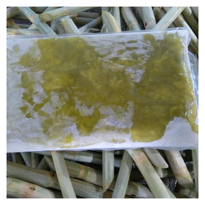 Caña de azúcar congelada con sabor natural dulce de 99GD Vietnam Caña de azúcar congelada para barras de jugo y pedidos de exportación listos para enviar - Product Image 4