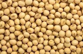 Graine de soja jaune organique riche en protéines saine pour la cuisson emballée en vrac - Product Image 3