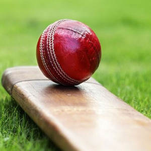 Balle de super-cricket en gros balle en cuir de cricket rouge balles dures de cricket en cuir véritable de qualité supérieure meilleures balles de cricket - Product Image 4