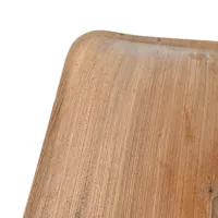 Assiette carrée en feuille de palmier naturelle compostable pour le goûter, 20x20 cm - 200 pièces/carton