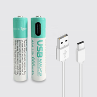 Batterie au lithium rechargeable USB Type-C 1,5 V 666 mWh pour glucomètre, jouets électriques, batterie Li-Ion