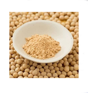 Herbojit International - Salsa de Soya Natural en Polvo Seca por Aspersión, Ingrediente de Sabor para Alimentos, Condimento al por Mayor a Buen Precio - Product Image 4