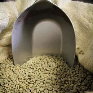 Granos de Café Verde Robusta de Alta Calidad de Vietnam, 100% Naturales, Certificados ISO 22000, Marca TNFOOD, Grado G1/G2, Bolsas de 1000 kg - Product Image 1