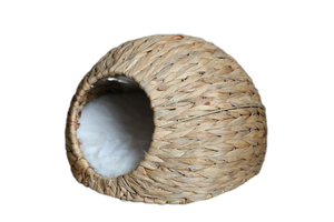 Diseño minimalista hecho a mano agua Jacinto Casa de mascotas hecho en Vietnam - Product Image 2