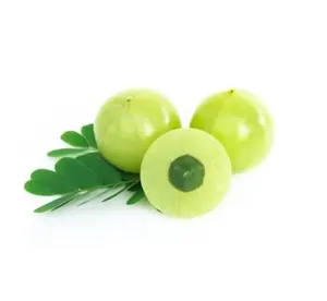 Vendita all'ingrosso olio di frutta di uva spina biologico al 100% olio di Amla indiano di alta qualità disponibile al prezzo più basso