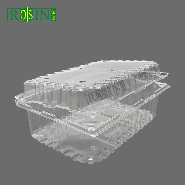 Groothandel Scharnier Clam Shell Plastic Transparant Voedsel Verpakking Containers Voor Fruit Groenten Salade Verpakking