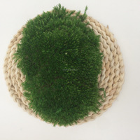 Fournitures florales Vert Préservé Renne Mousse Mur Massif Pôle Mousse Stabilisé Fleurs Préservées pour Noël en vente