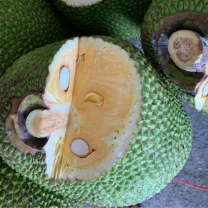 EXPORTACIÓN SUPERIOR FRUTAS CONGELADAS DE VIETNAM | DELICIOSA JACKFRUTA CONGELADA CON BUEN PRECIO - Product Image 6
