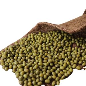 Frijoles verdes orgánicos sin gluten En stock Gramo verde natural Alto contenido en proteínas con fibra rica Entrega rápida disponible ahora - Product Image 1