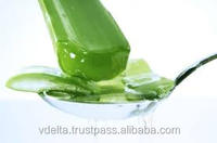 Purée d'Aloe Vera Séché du Delta du Vietnam, Saveur Légère, 16 Brix en Sirop, Boîte de 10kg en Vrac pour la Guérison