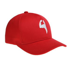 L Fabricant de casquette de baseball Personnalisé 3d Brodé Uni Logo Personnalisé Personnalisé Golf Hommes et Femmes Casquette de Baseball Personnalisée - Product Image 5