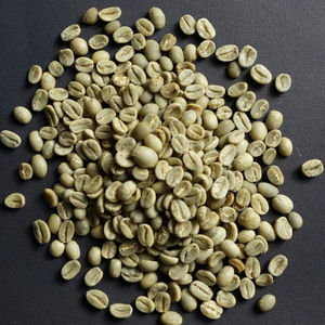 Grains de café vert Robusta de haute qualité, spécialité, taille 18, qualité G1 G2, certifié ISO 22000, brisés et noirs uniquement 0,1% - Product Image 1