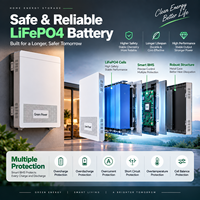 Batterie au lithium LiFePO4 10 kWh 51,2 V 200 Ah, système de stockage d'énergie domestique ESS, système de batterie solaire pour l'alimentation de secours résidentielle