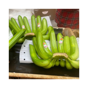 Plátano Cavendish fresco con cáscara gruesa y color amarillo brillante ideal para importadores de supermercados y distribuidores de alimentos - Product Image 2