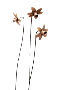 กระดิ่งแขวนทำจากโลหะใช้ในสวนดีไซน์ใหม่ทนทาน - Product Image 5