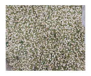 ชาดอกมะลิพรีเมี่ยมสดและมีกลิ่นหอม - Product Image 3