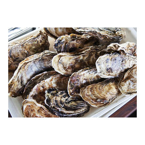 Viande d'huîtres japonaises à bas prix, destinée à une forte demande d'achat en gros. - Product Image 2