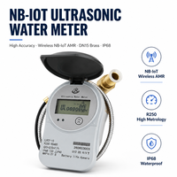 Compteur d'eau en laiton NB-IOT à ultrasons de haute précision DN15mm avec affichage à cristaux liquides de bande garantie de qualité