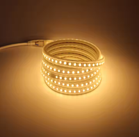 Bande LED 220V SMD 120pcs étanche Flexible 5630 5730 lumière LED pour paysage IP20 évalué
