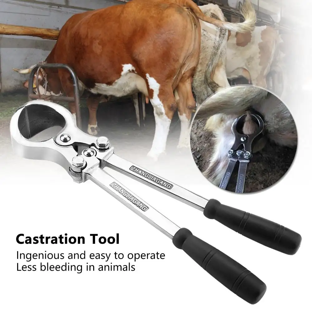 Emasculatiecastratie 16 "Uitrusting Voor Veterinaire Landbouwinstrumenten Voor Koeien En Geiten